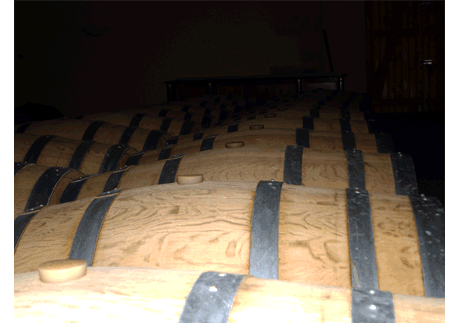 vinification