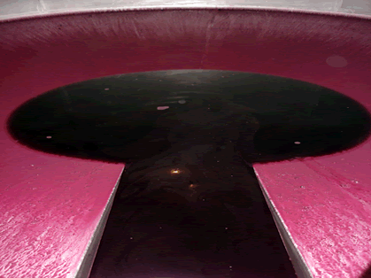 vinification