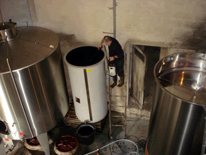 vinification